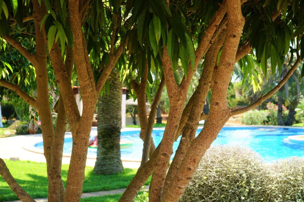 Agroturismo Finca Sa Tanca Cala D´Or Exterior foto